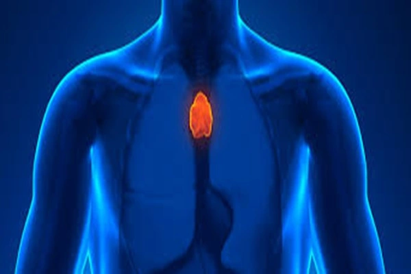 Thymulin peptide powder