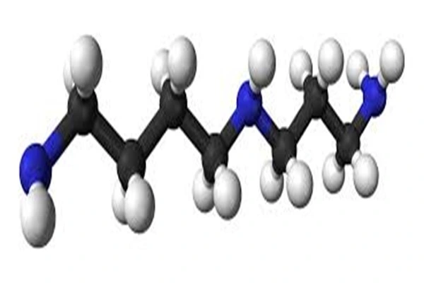 Raw Material API Spermidine
