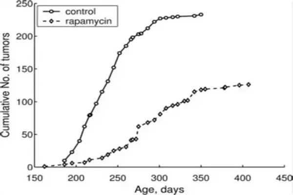 Rapamycin Powder Rapamycin Powder