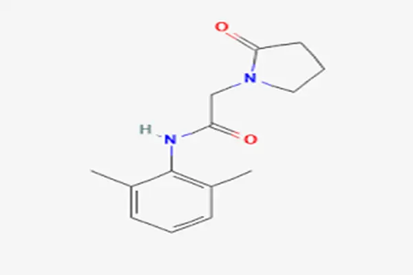 Nefiracetam Powder Nefiracetam Powder