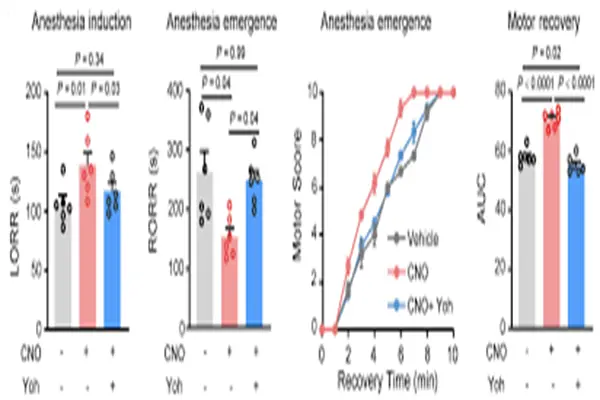 Yohimbine Hydrochloride Powder Yohimbine Hydrochloride Powder