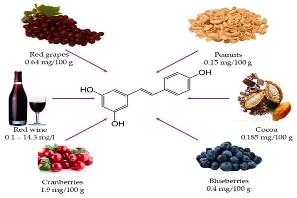 Resveratrol Powder Resveratrol Powder