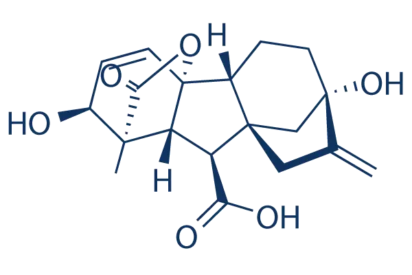 MF of Gibberellic Acid Powder MF of Gibberellic Acid Powder