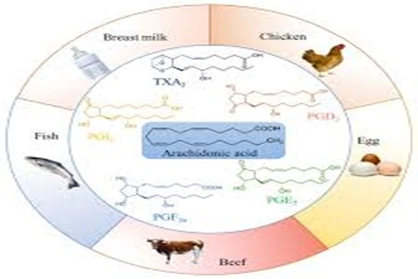 Arachidonic acid Powder