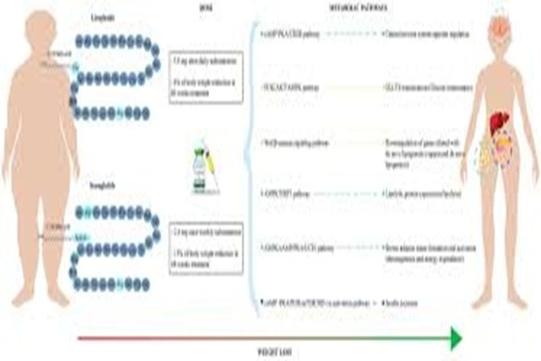 Liraglutide Powder Liraglutide Powder