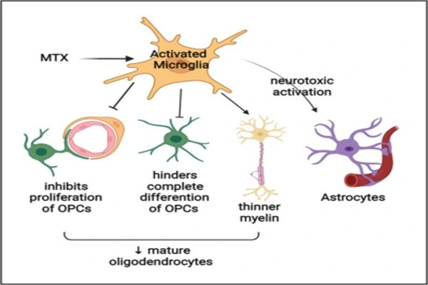 Calcium folinate powder