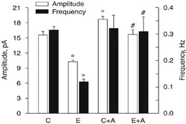 Nefiracetam Powder Nefiracetam Powder