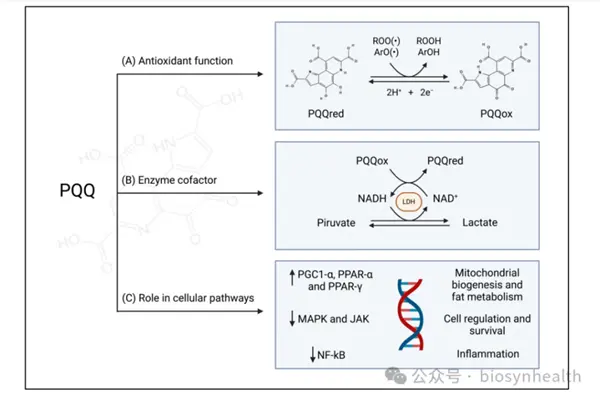 PQQ Powder PQQ Powder