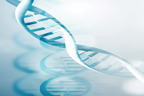 D-Chiro Inositol powder D-Chiro Inositol powder