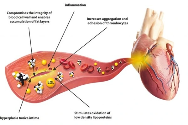 Mecobalamin Vitamin B12 Powder