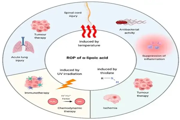 Alpha Lipoic Acid Powder Alpha Lipoic Acid Powder