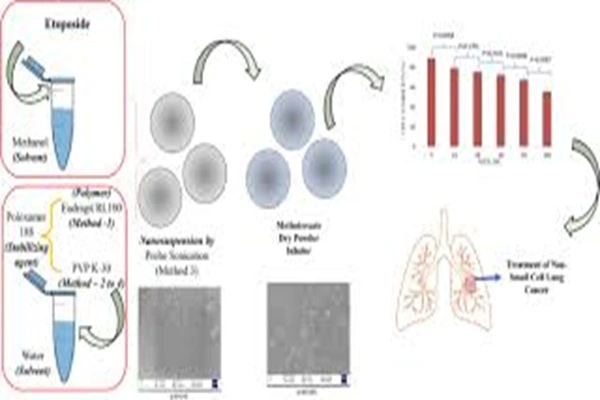 methotrexate powder methotrexate powder