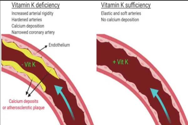  Vitamin K1 Oxide powder