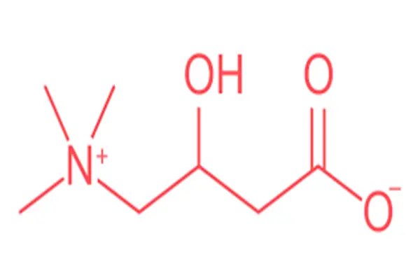 MF of Carnitine MF of Carnitine