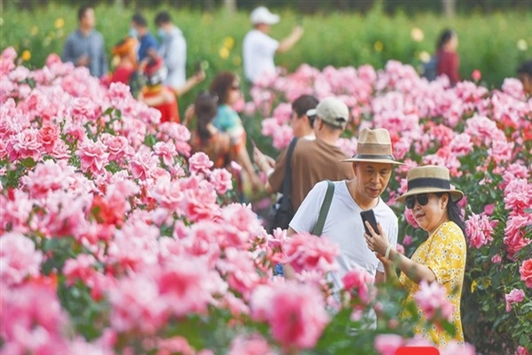 Enjoying flowers and spring outings