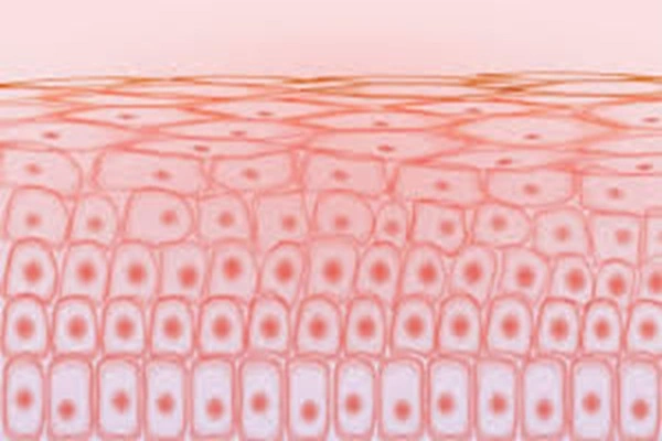 Palmitoyl Tripeptide-5 Powder Palmitoyl Tripeptide-5 Powder