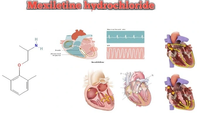 Pharmacology of Mexiletine HCL USP Powder Pharmacology of Mexiletine HCL USP Powder