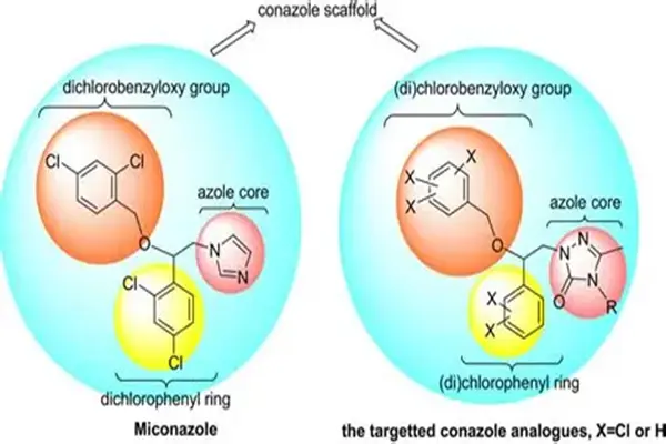 Mechanism of action of Miconazole EP Impurity A Mechanism of action of Miconazole EP Impurity A