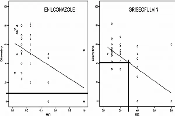 Advantages of Enilconazole Powder Advantages of Enilconazole Powder