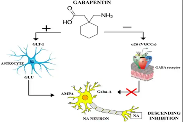 Gabapentin Powder