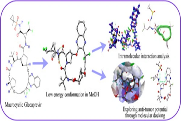 Solution structure and conformational adaptation mechanism of Glecaprevir
