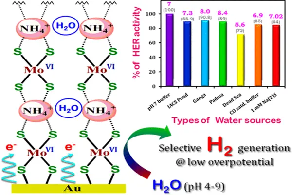 Ammonium tetrathiomolybdate: A multifunctional catalyst for the hydrogen evolution reaction in water.