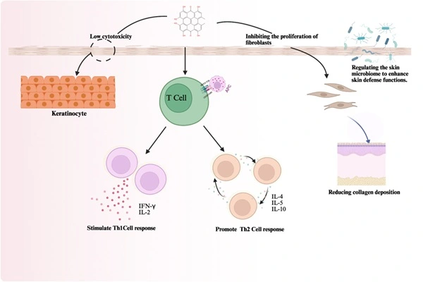 Mechanism of Action of Hypericin Mechanism of Action of Hypericin