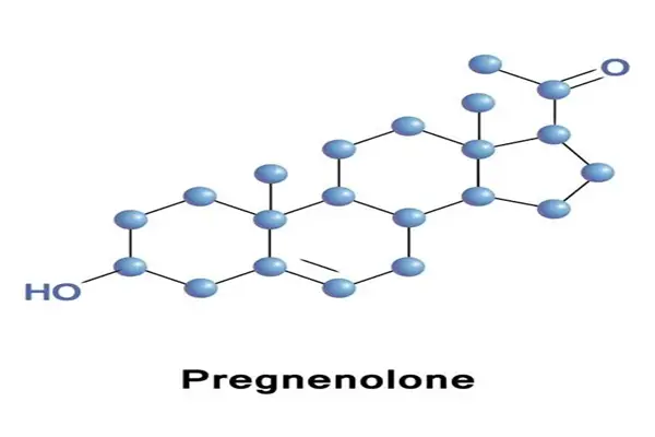 MF of Micronized Pregnenolone MF of Micronized Pregnenolone