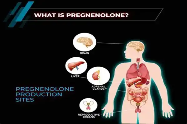 Effects of Micronized Pregnenolone Powder on the Human Body Effects of Micronized Pregnenolone Powder on the Human Body