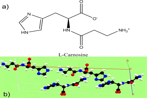 MF of L Carnosine MF of L Carnosine