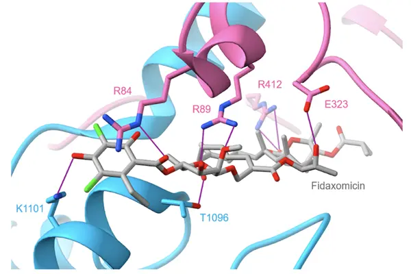 Fidaxomicin powder