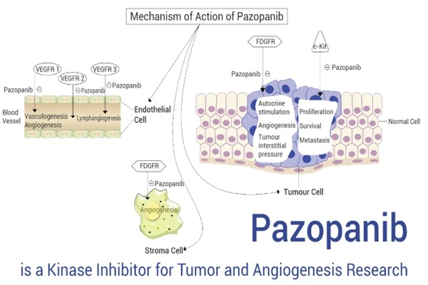 The working mechanism of Pazopanib API