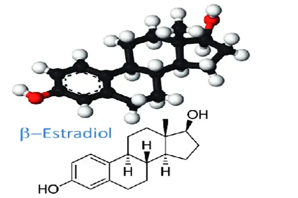 MF of β-estradiol