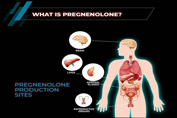 What is Pregnenolone? What is Pregnenolone?
