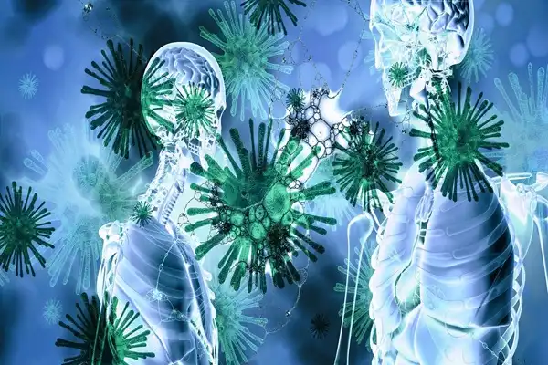 Synthesized Chonluten Peptide Synthesized Chonluten Peptide