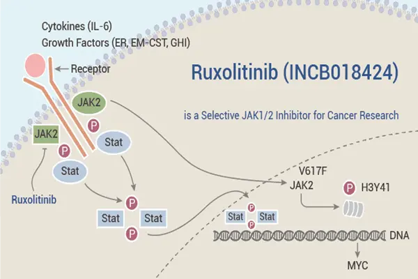 Mechanism of action of Ruxolitinib Powder Mechanism of action of Ruxolitinib Powder