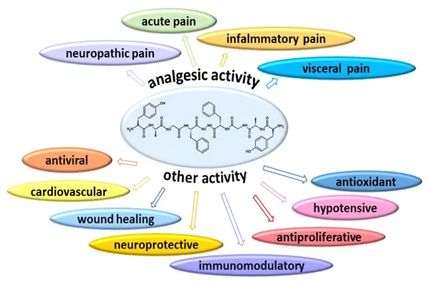 Biphalin Biphalin