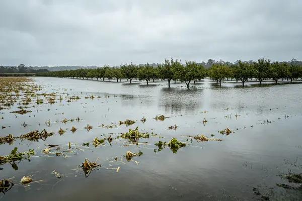 Heavy rains cause flooding on Australia's east coast Heavy rains cause flooding on Australia's east coast