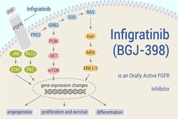 NVP-BGJ398