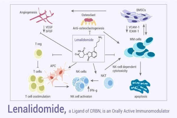 Lenalidomide Powder Lenalidomide Powder