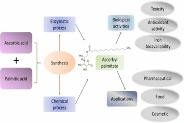 Ascorbyl palmitic acid