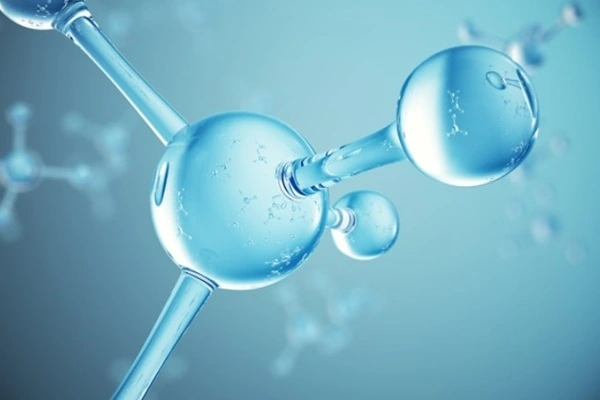 Peptides DSIP Peptides DSIP