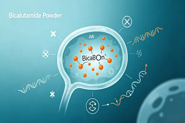 Mechanism of action of Bicalutamide Powder Mechanism of action of Bicalutamide Powder