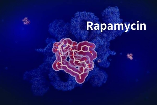 Rapamycin Powder Rapamycin Powder