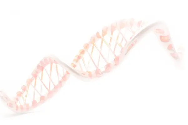 Diazo oxo norleucine Diazo oxo norleucine