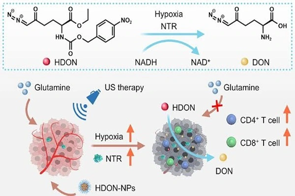 Diazo oxo norleucine