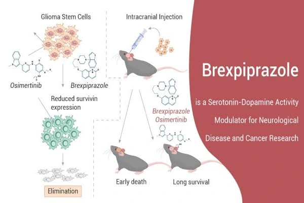 Brexpiprazole API powder