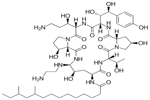 MF of Caspofungin MF of Caspofungin
