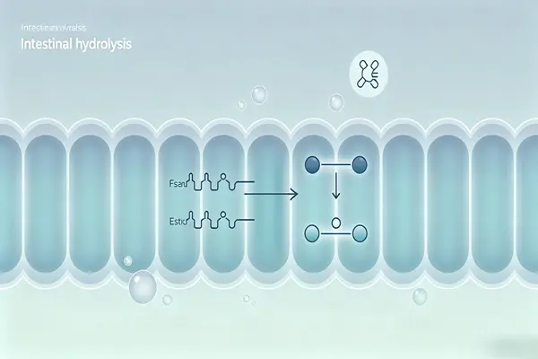 Sultamicillin API Sultamicillin API