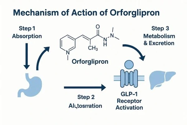 Orforglipron API Orforglipron API